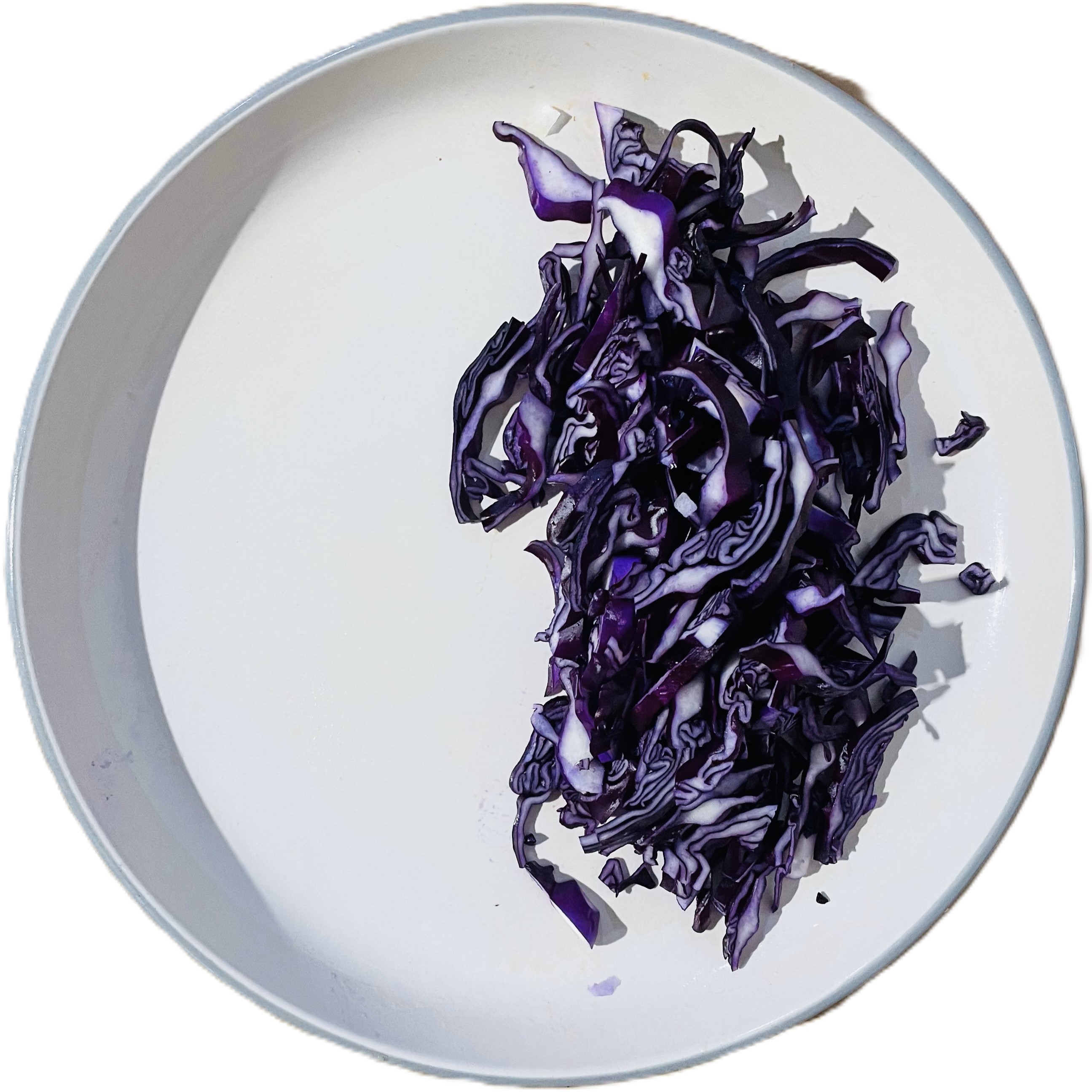 shredded red cabbage